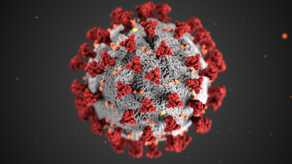 Coronavirus Updates