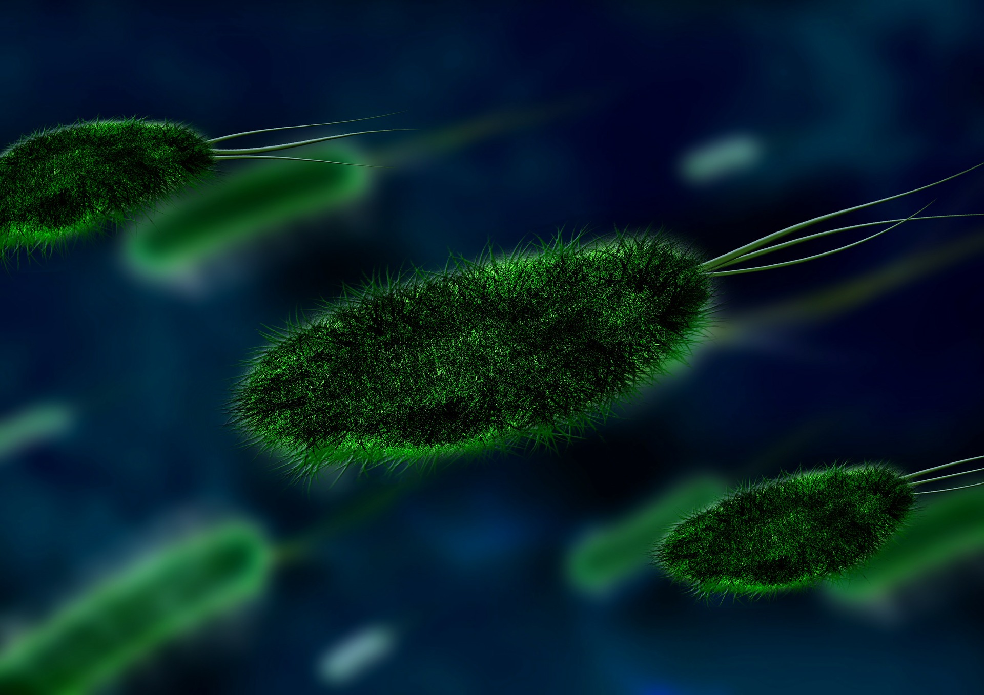 What is H. Pylori?